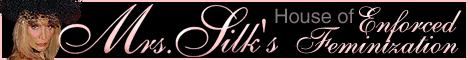 Mrs Silk